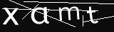 verifycode